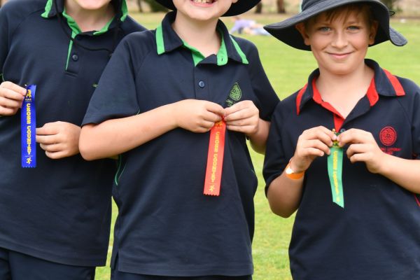 08 Sjcrosscountry (7)