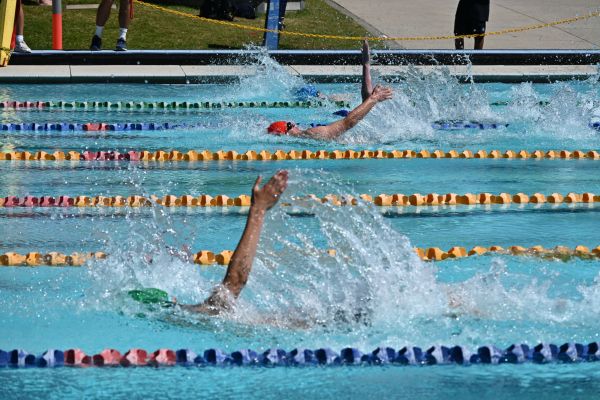 08 Swimming (1)