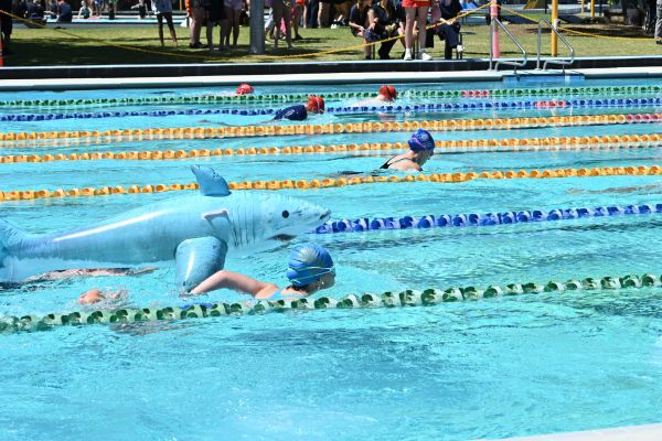 08 Swimming (3)