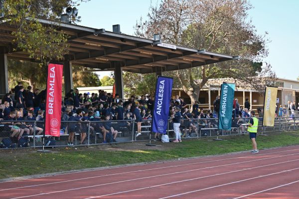 Ac Primaryaths Groups 24 (4)