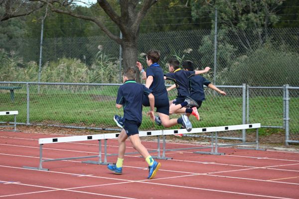 Ac Primaryaths Hurdles 24 (4)