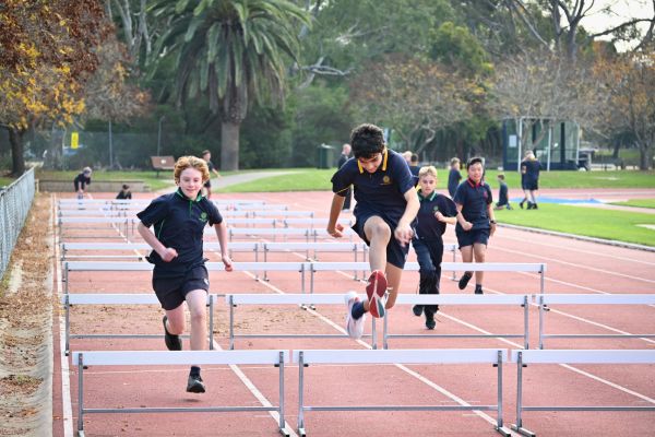 Ac Primaryaths Hurdles 24 (6)