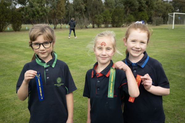 Ac Primarycrosscountry (13)