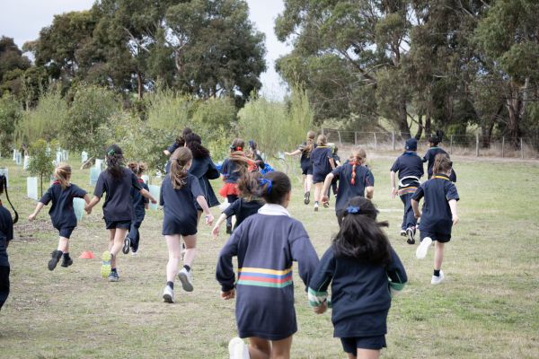 Ac Primarycrosscountry (15)