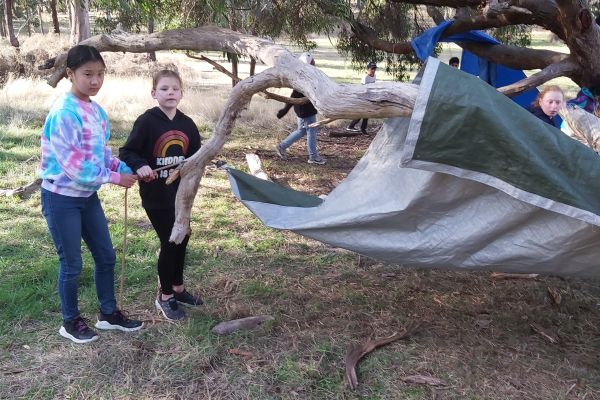 Bushcraft 1
