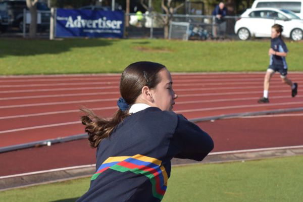 Dsc 5919