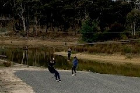 Flying Fox Landing 2