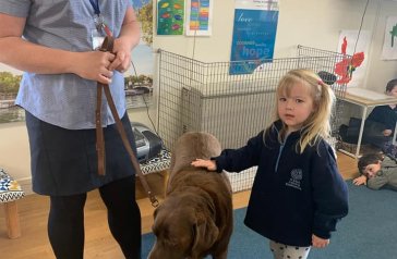 SJ - KINDER CHILDREN LEARN PET SAFETY