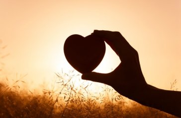 SJ - A DISPLAY OF LOVE AND COMPASSION