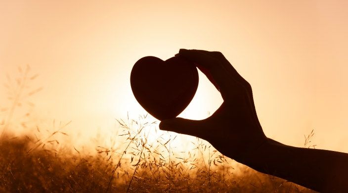 Heart In Shadow
