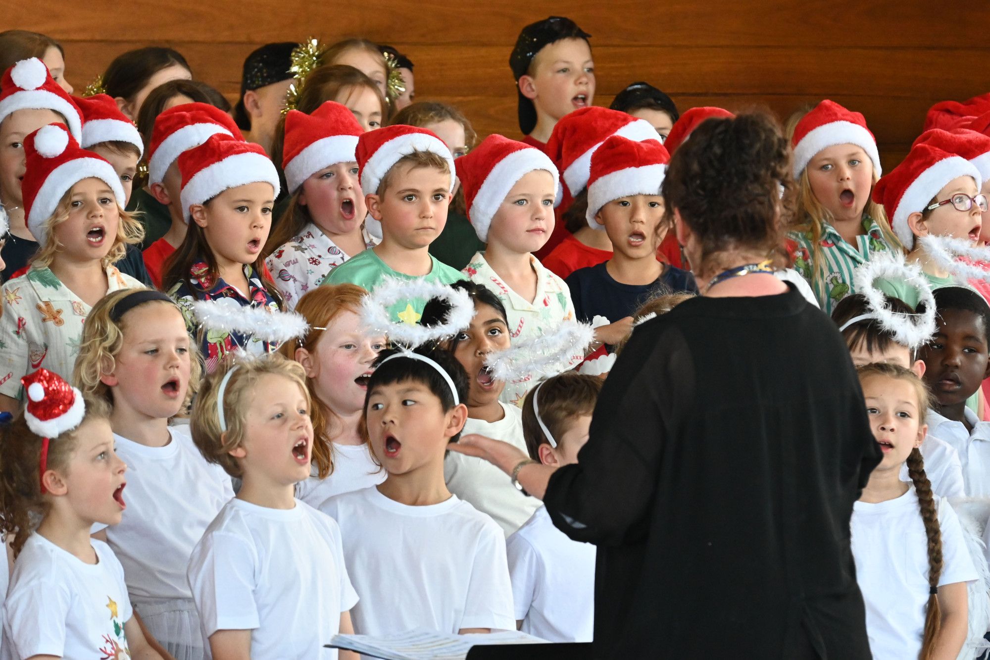 Sj Christmas (4)