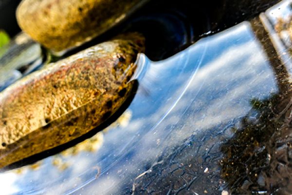 Photography Portfolio (11) (Submission)