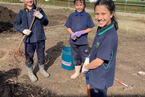 Planting 1