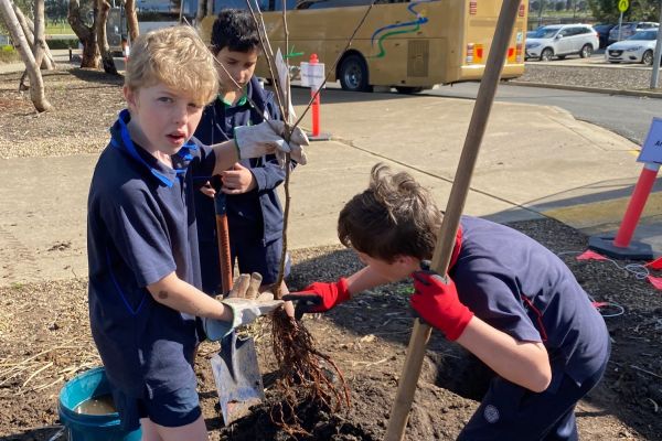 Planting 2