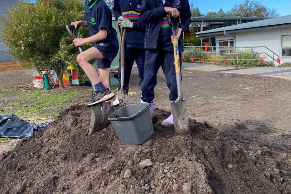 Planting 4