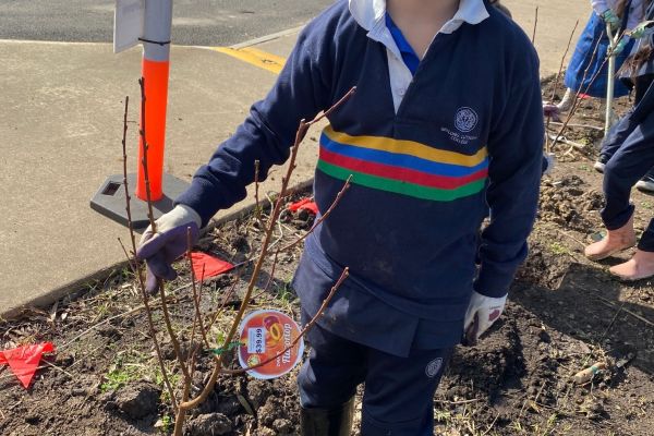 Planting 5