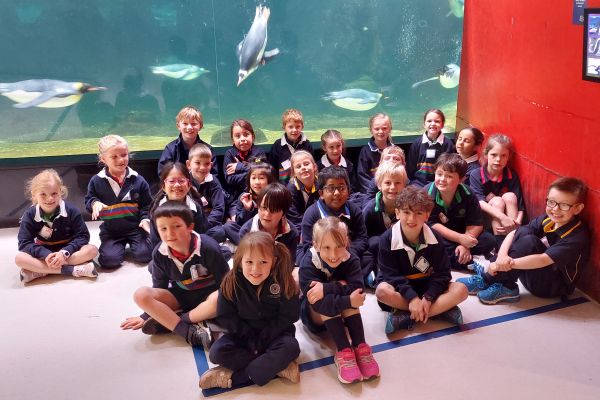 Sealife2