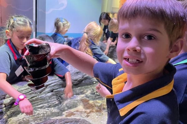 Sealife4