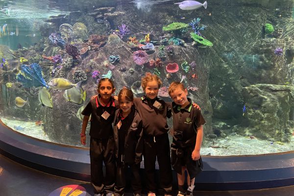 Sealife7