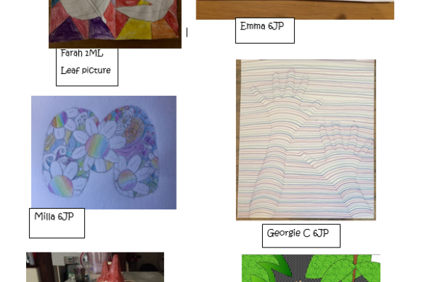 Sj Art 22.5