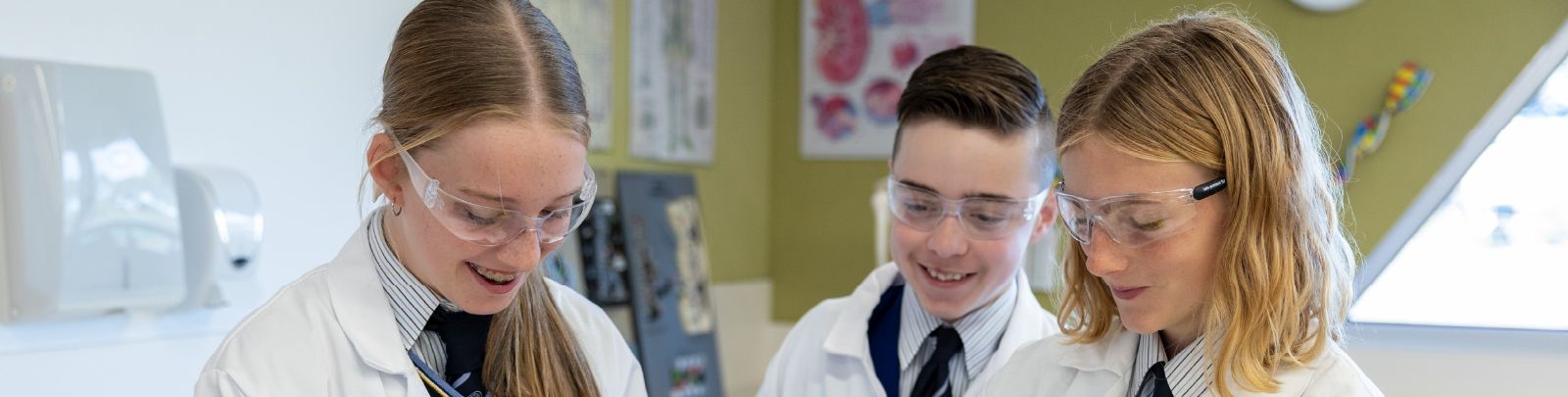 Secondary Curriculum