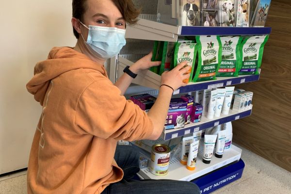 Workexp Zac H Work Experience 2022B